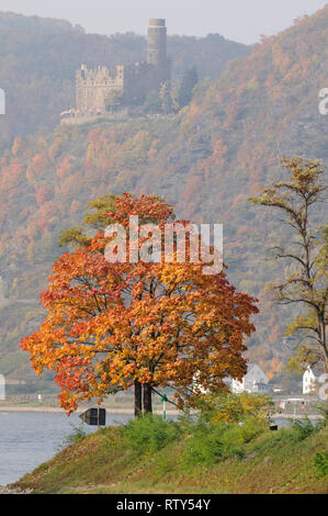 Burg Maus und der Rhein bei St. Goarshausen, Rheinland-Pfalz, Deutschland Stockfoto