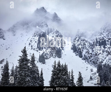 Hohe Berge mit Schnee und Kiefer auf Gipfeln im Winter Stockfoto