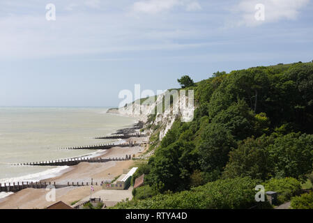 Die Küste von Beachy Head Eastbourne England Stockfoto