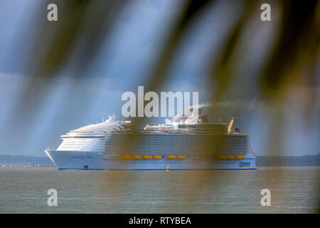 Luxus, Reisen, luxuriöse, Hochzeit, Flitterwochen, Suite, Kabine, Harmonie des Meeres, Kreuzfahrt, Liner, verlassen, Southampton, Verschmutzung, Cowes, Isle of Wight England Stockfoto