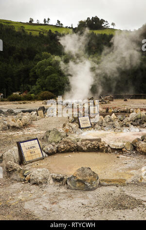 Rauchen fumarole und Quellwasser in geothermischen Bereich Stockfoto