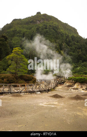 Rauchen fumarole und Quellwasser in geothermischen Bereich Stockfoto