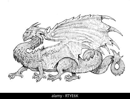 Drache mit Flügeln. Fantasy Tinte Abbildung. Stockfoto