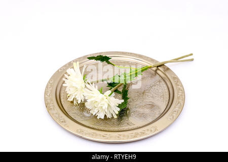Traditionelle türkische Kaffee Set Stockfoto