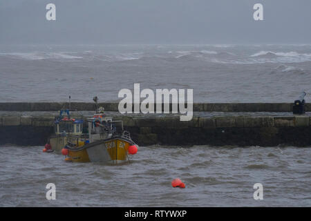 Lyme Regis, Großbritannien. 3. März, 2019. Riesige Wellen von Sturm- und Freya Teig Lyme Regis Meer. Met Office hat eine gelbe Warnmeldung für viel der Südwesten Großbritannien Wind, der zu über 60 km/h erwarten verursacht Störungen und Schäden. Credit: PaulChambers/Alamy leben Nachrichten Stockfoto