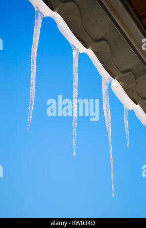 Eiszapfen vom Dach hängend in den Strahlen der Sonne gegen den blauen Himmel Stockfoto