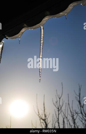 Eiszapfen vom Dach hängend in den Strahlen der Sonne gegen den blauen Himmel Stockfoto