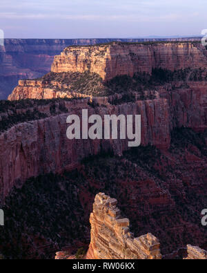 USA, Arizona, der Grand Canyon National Park; North Rim; Wotans Throne und Umgebung Canyon am frühen Morgen; vom Cape Royal. Stockfoto