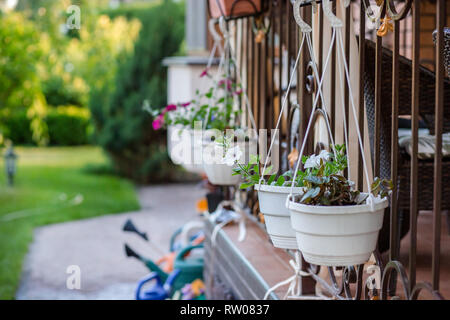 Blüten in hängenden Töpfen auf der Veranda des Hauses. Komfort und Schönheit in der Nähe des Hauses. Stockfoto