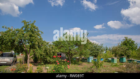 Sommer Panorama einer ländlichen Haus und Garten mit blühenden Bäumen und Bienen im Hintergrund Bienenstöcke. Stockfoto