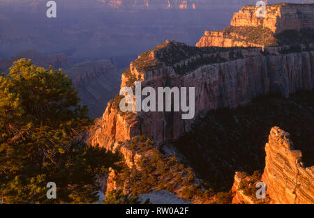 USA, Arizona, der Grand Canyon National Park, North Rim, Sunrise Licht erhellt Wotans Throne, vom Cape Royal. Stockfoto