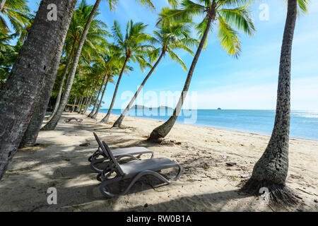 Sonnenliegen unter verbogen Palmen am Strand entlang, Palm Cove, Cairns Northern Beaches, Far North Queensland, Queensland, FNQ, Australien Stockfoto