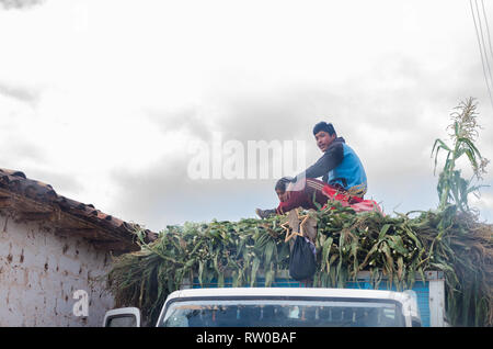 Cusco, Peru 31.12.2018: Junger Landwirt auf einem Lkw voll von Mais. Stockfoto