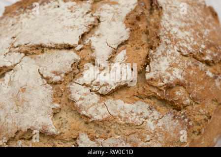 Frische rustikale runde Brot Textur Makro Stockfoto