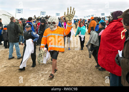 Chicago, IL - März 2, 2014 - Hunderte von brave Chicagoans zeigte sich in das Einfrieren Lake Michigan Wasser bei der jährlichen Polar Plunge Ereignis springen ein Stockfoto