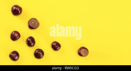 Table Top - Kastanien auf Gelb board verstreut. Abstrakt Herbst Hintergrund mit Platz für Text auf der rechten Seite. Stockfoto