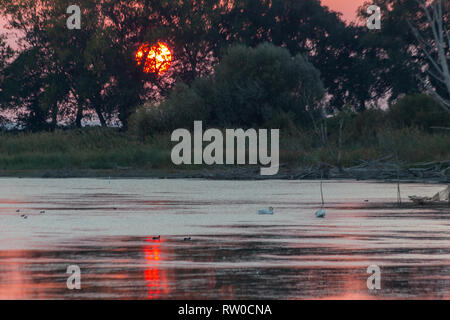 Sonnenuntergang Szene über den See, die Sonne, die hinter einigen Bäumen und auf dem Wasser widerspiegeln Stockfoto