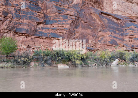 Entdecken Sie remote Red Rock Canyons und Klippen entlang der malerischen Fluss Colorado, Moab, Canyonlands, Utah. Die einzigartige geologische Formationen Land sehen. Stockfoto