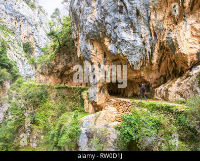 Wanderweg (Cares Trail oder Ruta del Cares) entlang des Flusses Cares in trüben Frühling (in der Nähe von Kain), Picos de Europa National Park in der Provinz Leon, Stockfoto