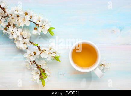 Tasse Tee und Zweige der blühenden Aprikose auf alten Hellblau Holztisch. Stockfoto