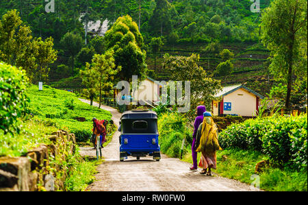 Rot Tuk Tuk auf dem Weg zum Tee Plantage in Haputale, Sri Lanka Stockfoto