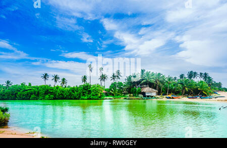 Blick auf die Lagune Rekawa neben Tangalle, Sri Lanka Stockfoto