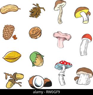 Die Abbildung zeigt eine Reihe von verschiedene Nüsse und verschiedene Arten von Pilzen. Abbildung im Cartoon Stil gemacht, auf separaten Ebenen, isoliert auf weißem Stock Vektor
