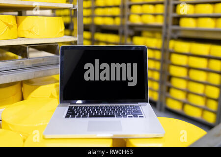 Laptop mit leeren Bildschirm auf gelben Käse Köpfe hautnah. Käse Zimmer Stockfoto