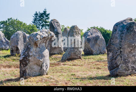 Schöne Sicht auf die standing stones Ausrichtungen, Menhire in Carnac, Bretagne, Frankreich. Megalithische Wahrzeichen Stockfoto