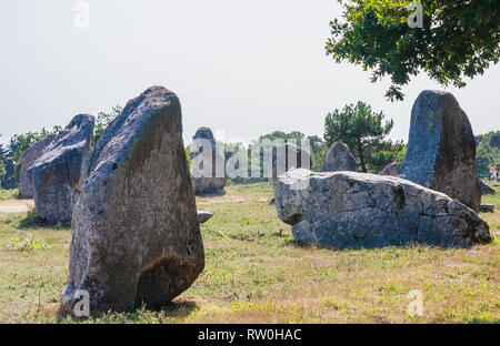 Schöne Sicht auf die standing stones Ausrichtungen, Menhire in Carnac, Bretagne, Frankreich. Megalithische Wahrzeichen Stockfoto