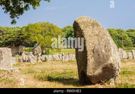 Schöne Sicht auf die standing stones Ausrichtungen, Menhire in Carnac, Bretagne, Frankreich. Megalithische Wahrzeichen Stockfoto