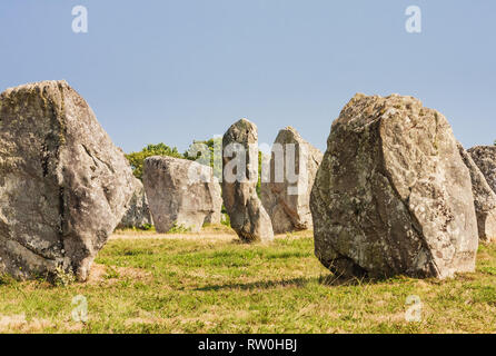 Schöne Sicht auf die standing stones Ausrichtungen, Menhire in Carnac, Bretagne, Frankreich. Megalithische Wahrzeichen Stockfoto