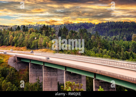 Straße mit einer konkrete Brücke durch Waldgebiete. Stockfoto