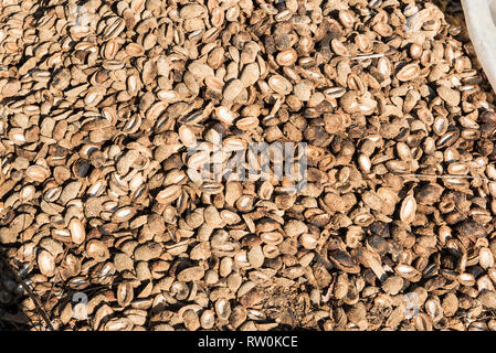 (Kokoroti Dorf Aldeia Kokorotí), Mato Grosso, Brasilien. Kumaru Spelzen. Stockfoto