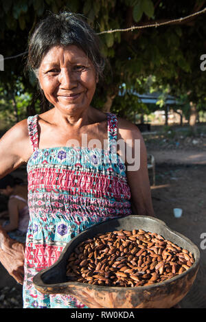 (Piaraçu Dorf Aldeia Piaraçu), Mato Grosso, Brasilien. Kena Metuktire mit KUMARU (Dipterix odorata, Tonkabohnen) Kernel in einem cuia Kürbis Schüssel. Stockfoto