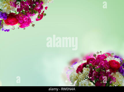 Freeseia frische Blumen Stockfoto