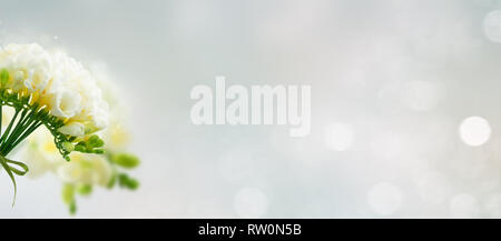 Freeseia frische Blumen Stockfoto