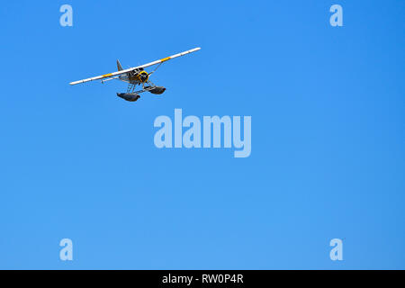 Eine Vorderansicht eines einzelnen Motor Wasserflugzeug in für eine Landung vor einem blauen wolkenlosen Himmel in Victoria British Columbia Kanada kommen. Stockfoto