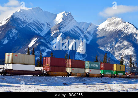 Ein kanadischer nationaler Güterzug, der eine Ladung von Containerautos durch den schneebedeckten felsigen Berg von Alberta Kanada schleppt. Stockfoto