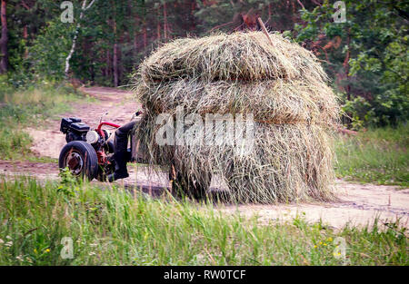 Auf dem Weg durch den Wald geht ein kleiner Traktor, auf dem der Landwirt trägt einen Heuhaufen. Stockfoto