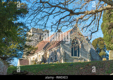 St. George's Kirche, Crowhurst, East Sussex, UK. Standort einer alten Eibe, angeblich über 1000 Jahre alt. Stockfoto