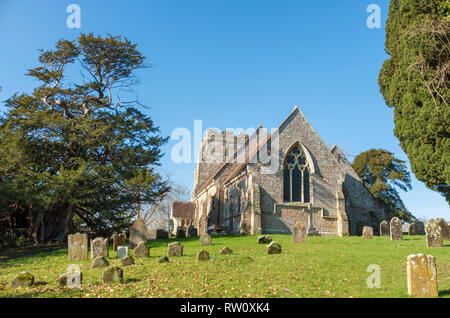 St. George's Kirche, Crowhurst, East Sussex, Großbritannien mit einer berühmten antiken Eibe, angeblich über 1000 Jahre alt, links auf dem Bild zu sehen. Stockfoto