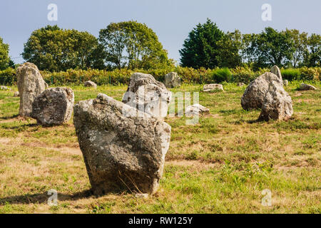 Schöne Sicht auf die standing stones Ausrichtungen, Menhire in Carnac, Bretagne, Frankreich. Megalithische Wahrzeichen Stockfoto