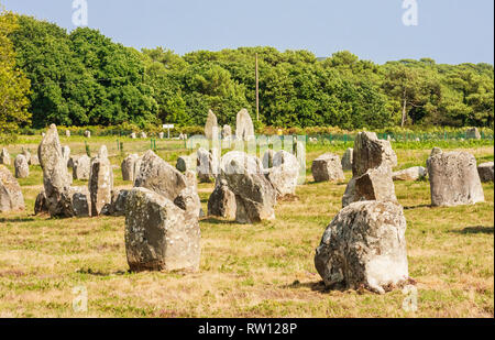 Schöne Sicht auf die standing stones Ausrichtungen, Menhire in Carnac, Bretagne, Frankreich. Megalithische Wahrzeichen Stockfoto