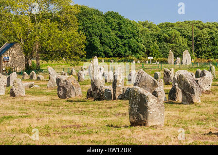 Schöne Sicht auf die standing stones Ausrichtungen, Menhire in Carnac, Bretagne, Frankreich. Megalithische Wahrzeichen Stockfoto