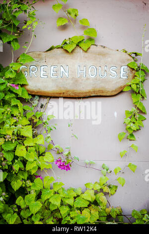 Green House Zeichen auf einem Holzbrett mit einem grünen Weinstock mit Blumen umgeben Stockfoto