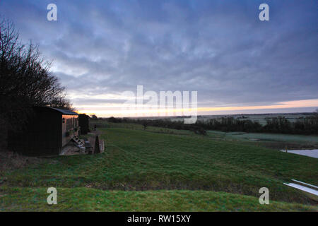 Hog Deer Creek, Port Lympne Stockfoto