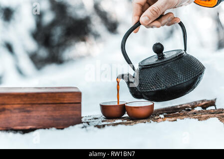 7/8-Ansicht von männlichen Reisenden gießen Tee aus Wasserkocher in cups im Winter Wald Stockfoto