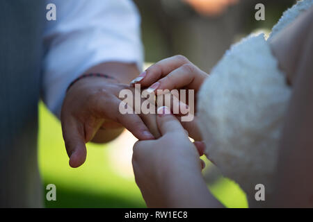 Braut die Hochzeit Ring am Finger der Bräutigam während der Trauung Stockfoto