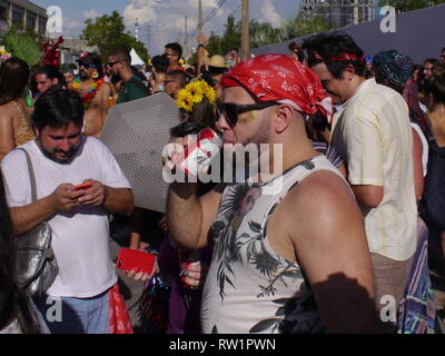 Barra Funda, São Paulo, São Paulo, Brasil/24. Februar 2019 / Zuschauer in den wilden Fancy Dress ejoy beobachten die Maravilhosas Pole Dance School stu Stockfoto